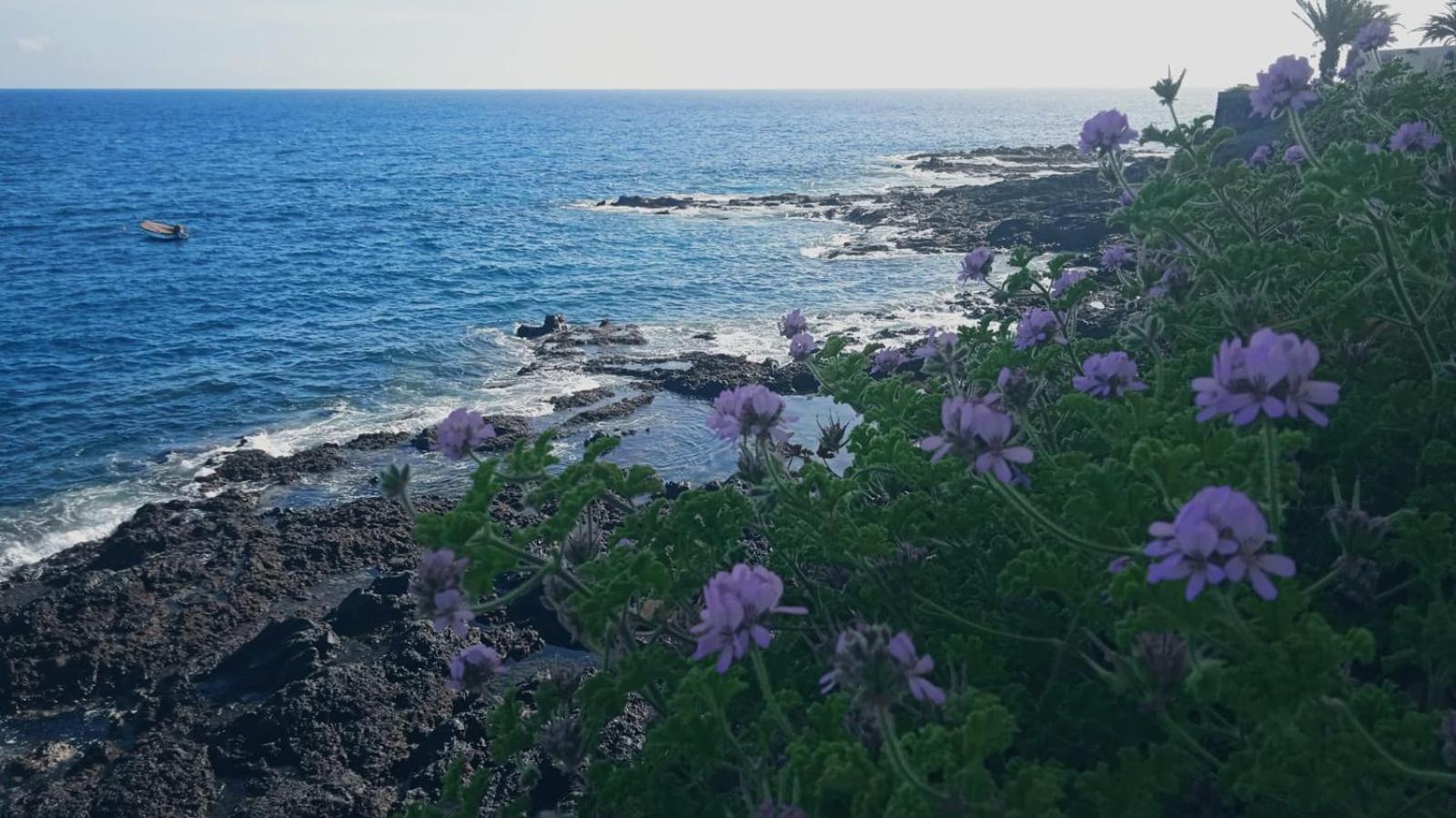 Casitarino Apartment Puerto de Santiago (Tenerife)