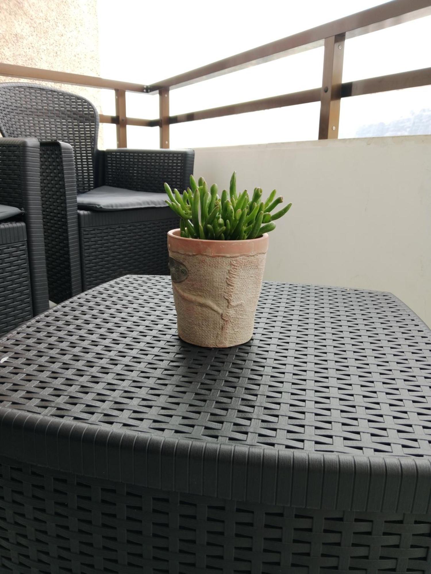 Casitarino Apartment *